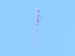 low poly anatomic skeleton 3D Model