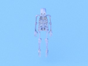 low poly anatomic skeleton 3D Model