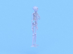 low poly anatomic skeleton 3D Model