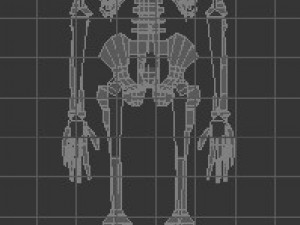 low poly anatomic skeleton 3D Model