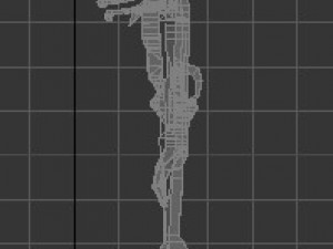 low poly anatomic skeleton 3D Model