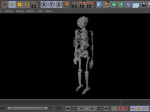 low poly anatomic skeleton 3D Model