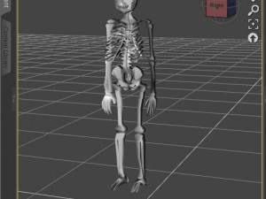 low poly anatomic skeleton 3D Model