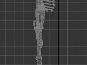 low poly anatomic skeleton 3D Model