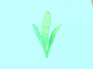collection of low poly vegetation 3D Model