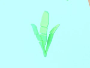 collection of low poly vegetation 3D Model