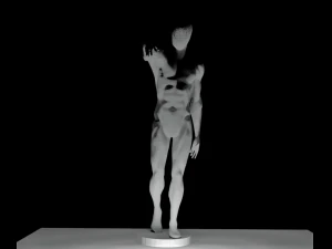 pose de anatomia Modelo 3D