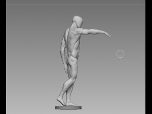 anatomy pose Modello 3D