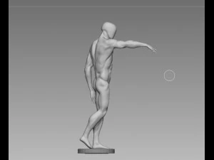 anatomy pose 3D Model