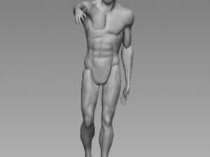 anatomy pose Modello 3D