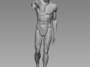 anatomy pose 3D Model