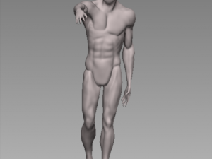 anatomy pose Modello 3D