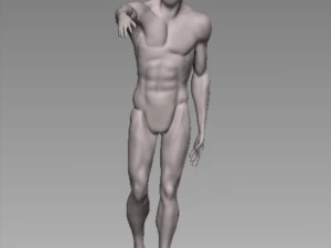 anatomy pose 3D Model