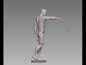 anatomy pose Modello 3D