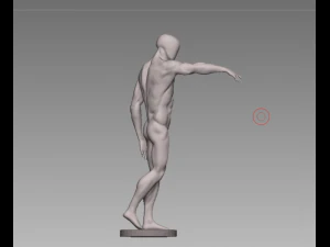 anatomy pose 3D Model