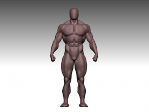 anatomy bodybuilder Modèle 3D