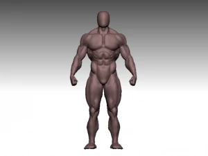 fisiculturista de anatomia Modelo 3D