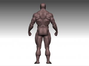 anatomy bodybuilder Modèle 3D