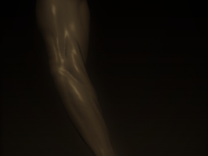 arm anatomy Modelo 3D