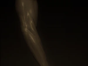 arm anatomy 3D Model