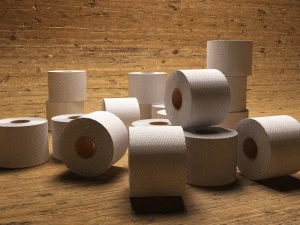 टॉयलेट पेपर 3D मॉडल