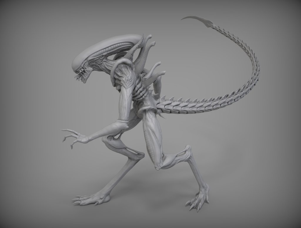 Alien Xenomorph 3d Model In Alien 3dexport