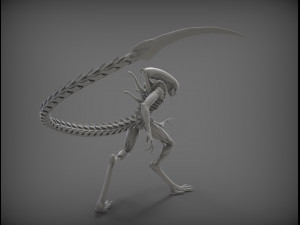 alien xenomorph Modèle 3D