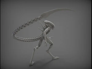 alien xenomorph 3D Model