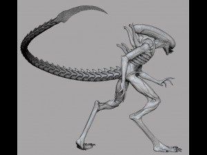 alien xenomorph Modèle 3D