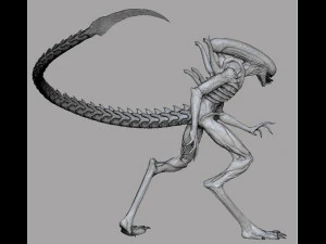 alien xenomorph 3D Model