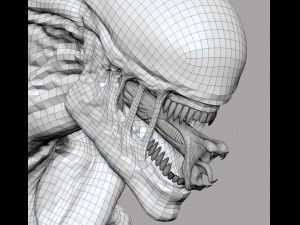 alien xenomorph Modèle 3D