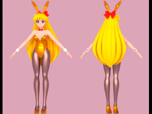 Sailor venus- aino minako 3D Model