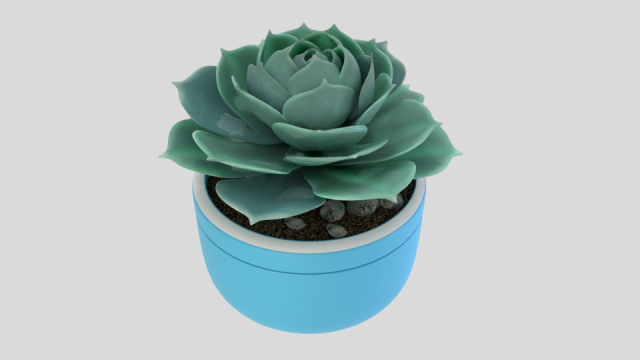 succulent plant 3D 模型 .c4d .max .obj .3ds .fbx .stl .blend