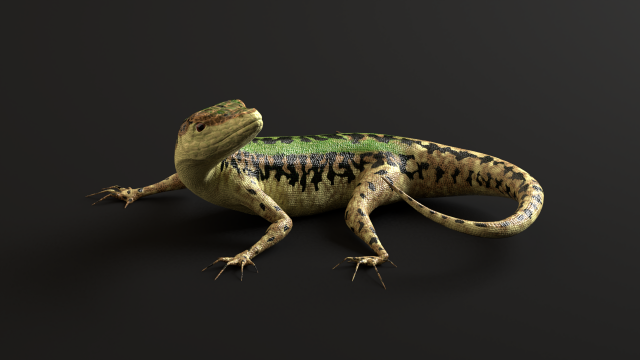 green lizard- podarcis sicula Modelo 3D .c4d .max .obj .3ds .fbx .stl .blend 