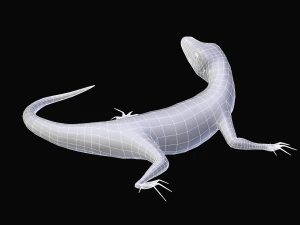 green lizard- podarcis sicula 3D Model