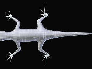 green lizard- podarcis sicula Modelo 3D