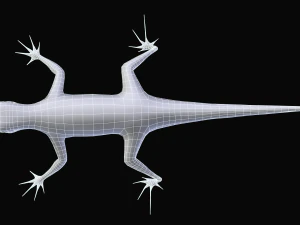 green lizard- podarcis sicula 3D Model