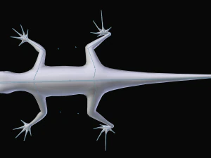 green lizard- podarcis sicula 3D Model