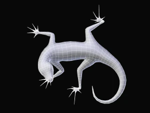 green lizard- podarcis sicula 3D Model