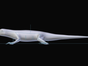 green lizard- podarcis sicula Modelo 3D