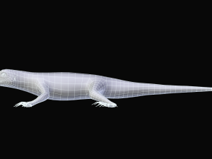 green lizard- podarcis sicula Modelo 3D