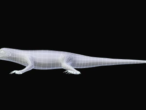 green lizard- podarcis sicula 3D Model