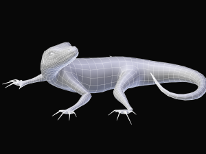 green lizard- podarcis sicula Modelo 3D