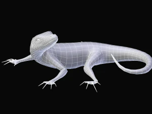 green lizard- podarcis sicula 3D Model