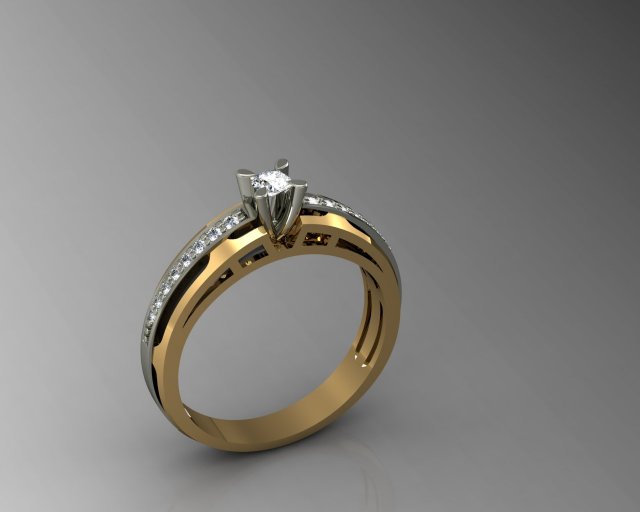rhing 3D 打印模型 .c4d .max .obj .3ds .fbx .stl .blend 