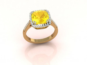 Cushion Ring 3D Druckmodell
