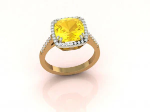 Cushion Ring 3D Print Model