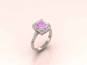 Cushion Ring 3D Druckmodell