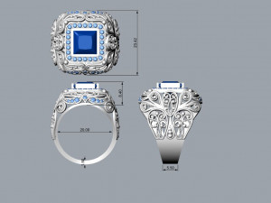 Man Ring Modelo de Impressão 3D