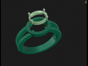 Ring Oval 3D Print Model